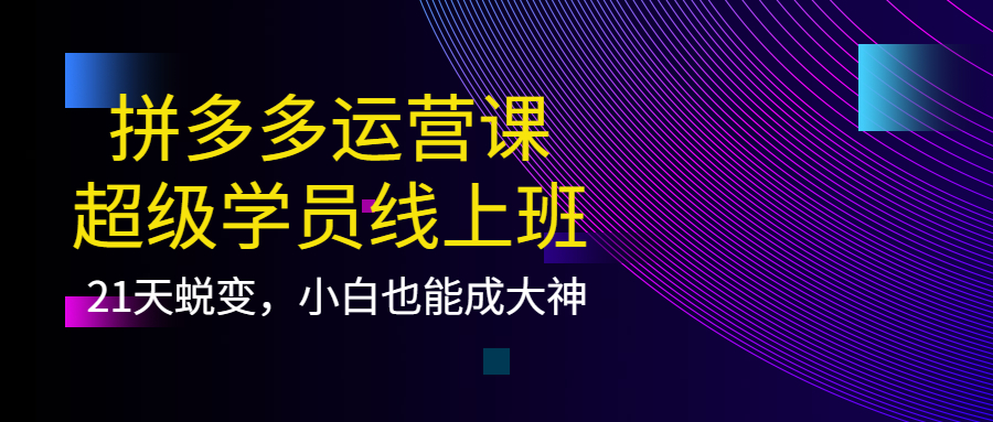 拼多多运营课：超级学员线上班，21天蜕变，小白也能成大神-62创业网