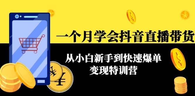 一个月学会抖音直播带货：从小白新手到快速爆单变现特训营(63节课)-62网赚