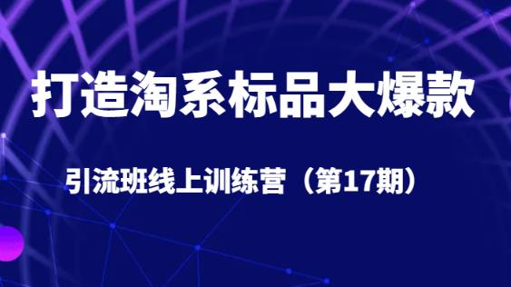 打造淘系标品大爆款引流班线上训练营5天直播授课-62创业网