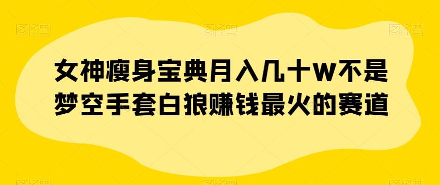 女神瘦身宝典月入几十W不是梦空手套白狼赚钱最火的赛道【揭秘】-62创业网