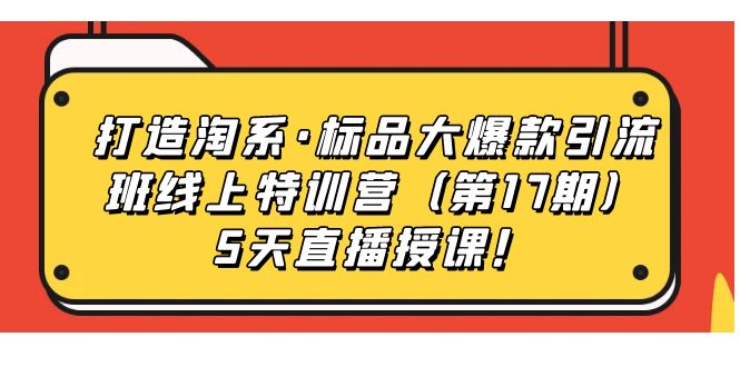 打造淘系·标品大爆款引流班线上特训营5天直播授课！-讯领网创