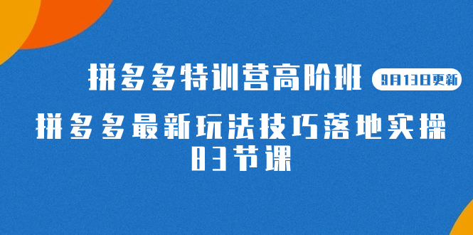 2023拼多多·特训营高阶班【9月13日更新】拼多多最新玩法技巧落地实操-83节-62网赚