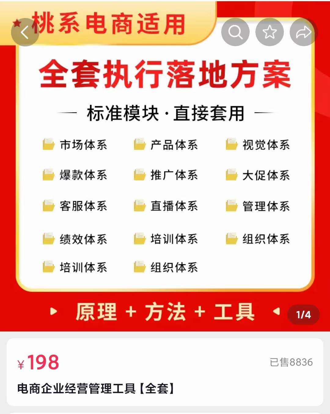 外面卖198·电商企业经营管理工具：全套执行落地方案 标准模块·直接套用-62网赚