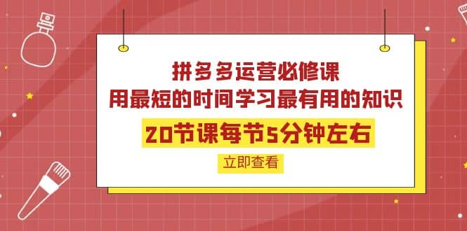 拼多多运营必修课：20节课每节5分钟左右，用最短的时间学习最有用的知识-62网赚