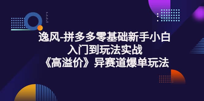 拼多多零基础新手小白入门到玩法实战《高溢价》异赛道爆单玩法实操课-62网赚