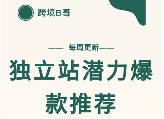 【跨境B哥】独立站潜力爆款选品推荐，测款出单率高达百分之80（每周更新）-62创业网