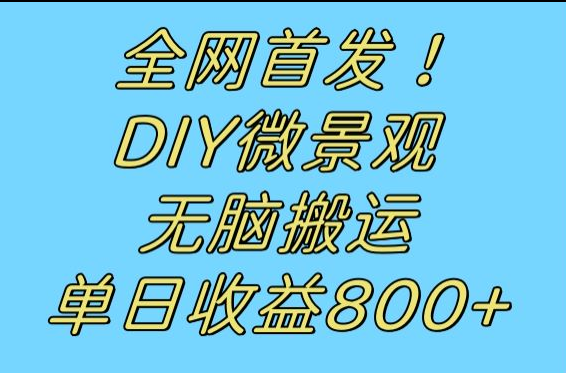 全网首发冷门赛道！DIY微景观，无脑搬运视频，日收益800+-62创业网