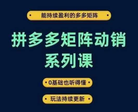 拼多多矩阵动销系列课，能持续盈利的多多矩阵，0基础也听得懂，玩法持续更新-62创业网