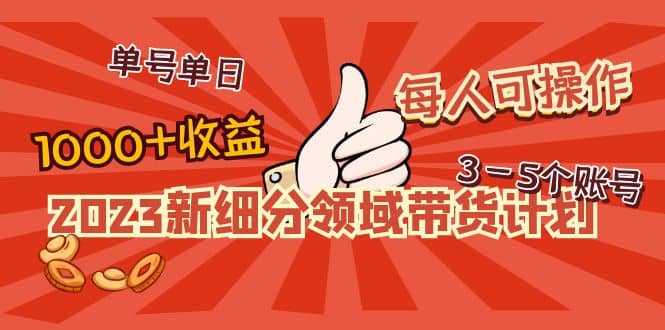 2023新细分领域带货计划：单号单日1000+收益不难，每人可操作3-5个账号-62网赚