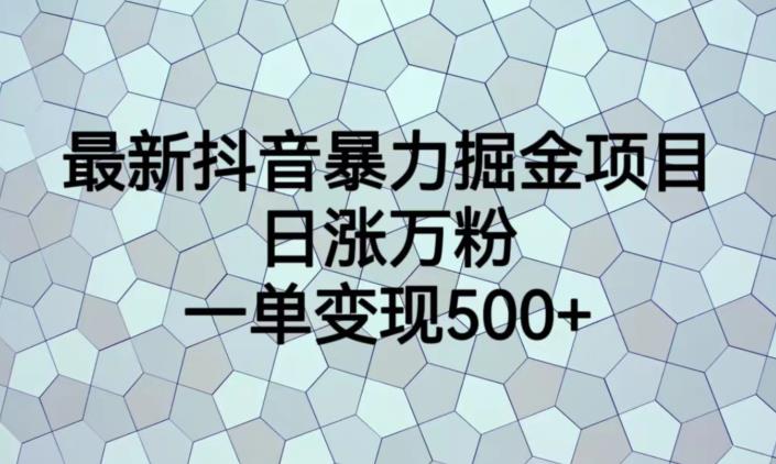 最新抖音暴力掘金项目，日涨万粉，一单变现500+【揭秘】-62创业网