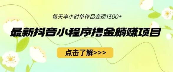 最新抖音小程序撸金躺赚项目，一部手机每天半小时，单个作品变现1300+【揭秘】-62创业网