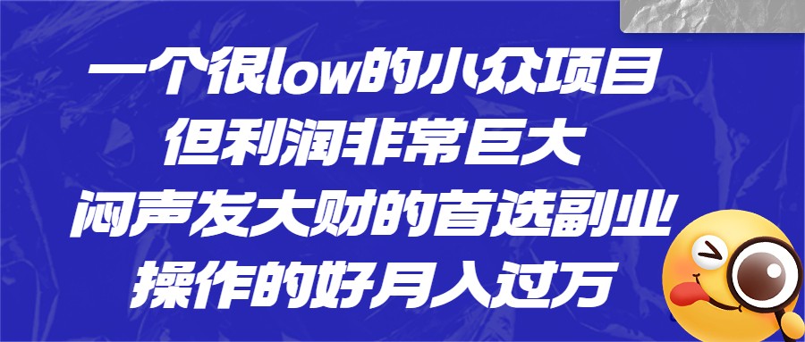 一个很low的小众项目，但利润非常巨大，闷声发大财的首选副业，操作的好月入过万-62网赚