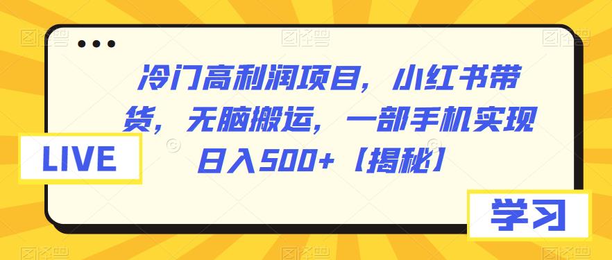 冷门高利润项目，小红书带货，无脑搬运，一部手机实现日入500+【揭秘】-62创业网