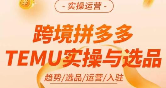 伍跃·跨境拼多多TEMU实操与选品，​趋势/选品/运营/入住（27节完整）-62创业网