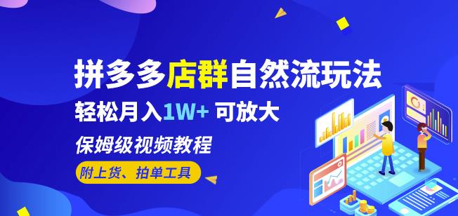 拼多多店群自然流玩法，轻松月入1W+保姆级视频教程（附上货、拍单工具）-62创业网