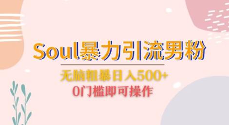 Soul暴力引流男粉玩法，无脑粗暴日入500＋，0门槛即可操作【揭秘】-62创业网