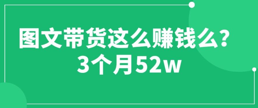 图文带货这么赚钱么? 3个月52W 图文带货运营加强课【揭秘】-62创业网