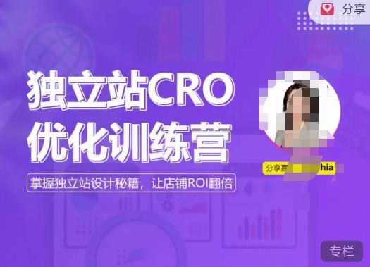 独立站CRO优化训练营，掌握独立站设计秘籍，打造高转化的独立站，让店铺ROI翻倍-62创业网