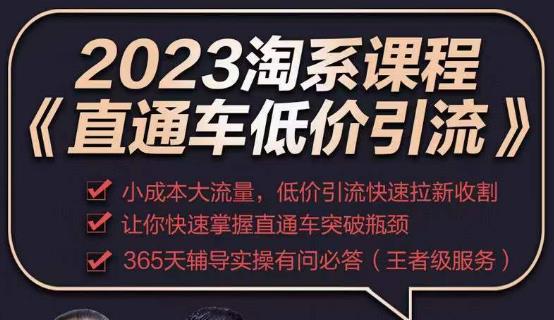 2023直通车低价引流玩法课程，小成本大流量，低价引流快速拉新收割，让你快速掌握直通车突破瓶颈-62创业网