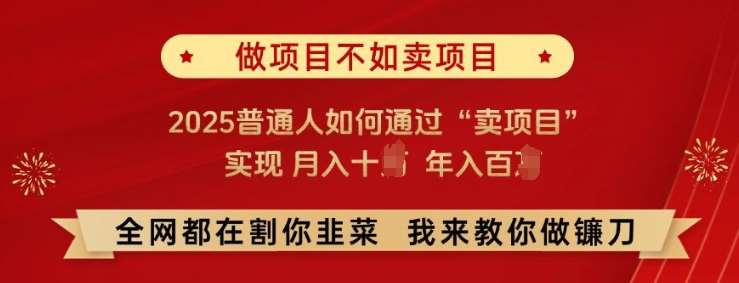 必看!做项目不如卖项目，2025普通人如何通过“卖项目”实现月入十个，年入百个【揭秘】-62创业网