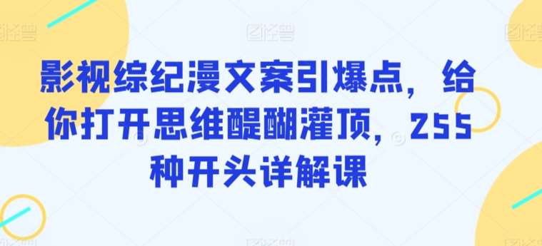 影视综纪漫文案引爆点，给你打开思维醍醐灌顶，255种开头详解课-62创业网