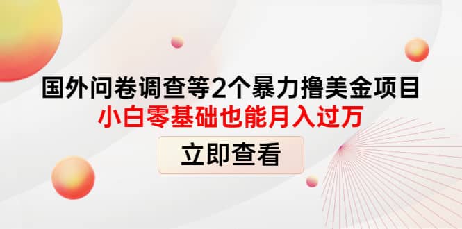 国外问卷调查等2个暴力撸美元项目，小白零基础也能月入过万-62网赚