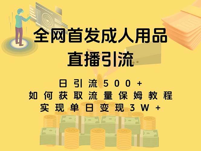 （8193期）最新全网独创首发，成人用品直播引流获客暴力玩法，单日变现3w保姆级教程-62创业网