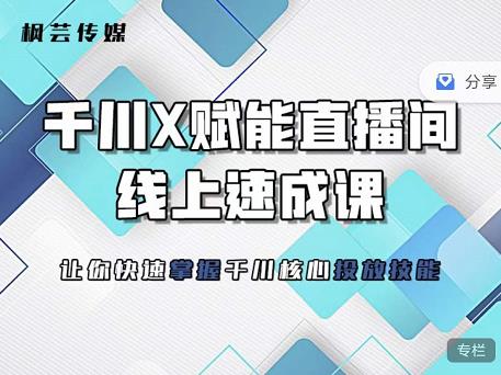 枫芸传媒-线上千川提升课，提升千川认知，提升千川投放效果-62网赚