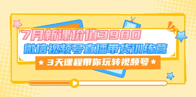 微信视频号直播带货训练营，3天课程带你玩转视频号：7月新课价值3980-62网赚