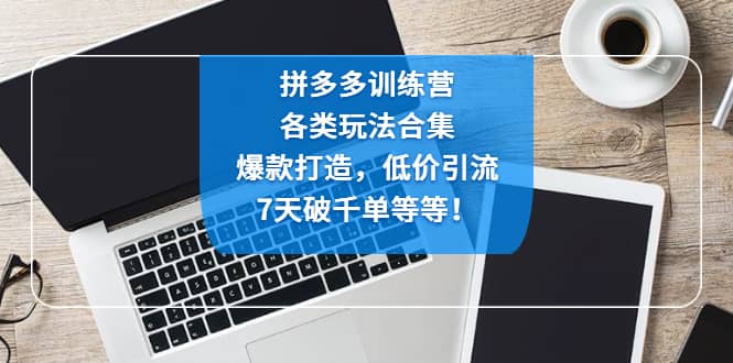 拼多多训练营：各玩法合集，爆款打造，低价引流，7天破千单等等-62网赚