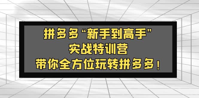 拼多多“新手到高手”实战特训营：带你全方位玩转拼多多-62创业网