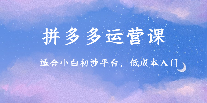 拼多多运营课，适合小白初涉平台，低成本入门-62创业网