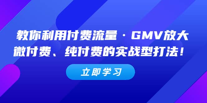 教你利用付费流量·GMV放大，微付费、纯付费的实战型打法-62网赚