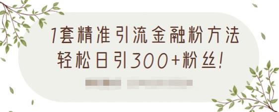 1套精准引流金融粉方法，轻松日引300+粉丝【视频课程】-62网赚