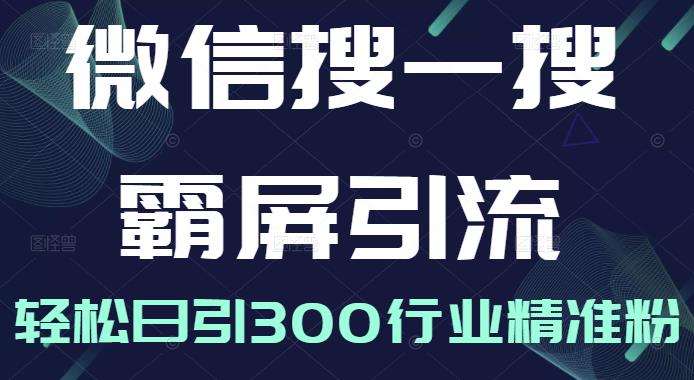 微信搜一搜霸屏引流课，打造被动精准引流系统，轻松日引300行业精准粉【无水印】-62网赚