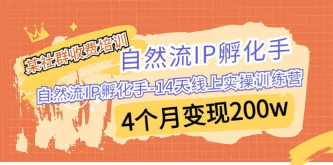 某社群收费培训：自然流IP 孵化手-14天线上实操训练营 4个月变现200w-62网赚