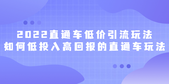 2022直通车低价引流玩法，教大家如何低投入高回报的直通车玩法-62网赚