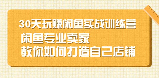 30天玩赚闲鱼实战训练营，闲鱼专业卖家教你如何打造自己店铺-62网赚