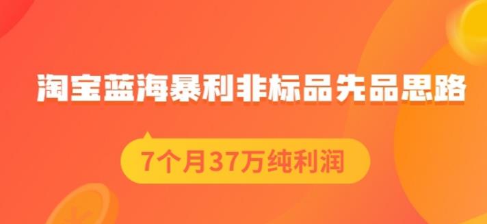 盗坤淘宝蓝海暴利非标品先品思路，7个月37万纯利润，压箱干货分享！【付费文章】-62创业网