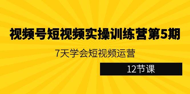 视频号短视频实操训练营第5期：7天学会短视频运营（12节课）-讯领网创