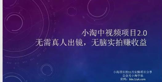 小淘项目组网赚永久会员，绝对是具有实操价值的，适合有项目做需要流程【持续更新】-62网赚