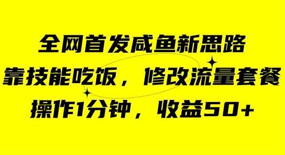 咸鱼冷门新玩法，靠“技能吃饭”，修改流量套餐，操作1分钟，收益50【揭秘】-62网赚