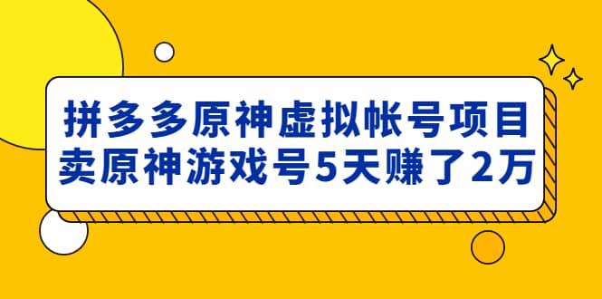 外面卖2980的拼多多原神虚拟帐号项目-62网赚