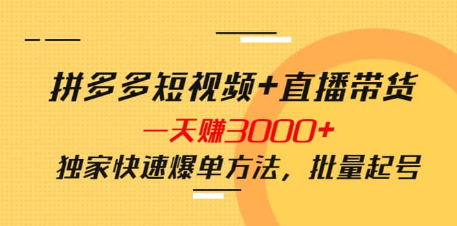 拼多多短视频+直播带货，一天赚3000+独家快速爆单方法，批量起号-62创业网