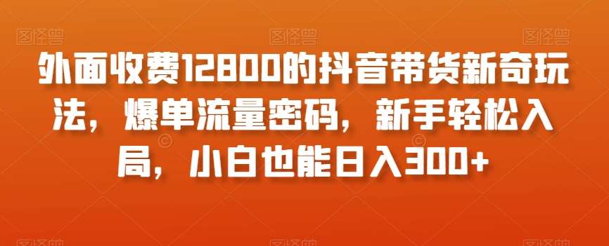 外面收费12800的抖音带货新奇玩法，爆单流量密码，新手轻松入局，小白也能日入300+【揭秘】-62创业网