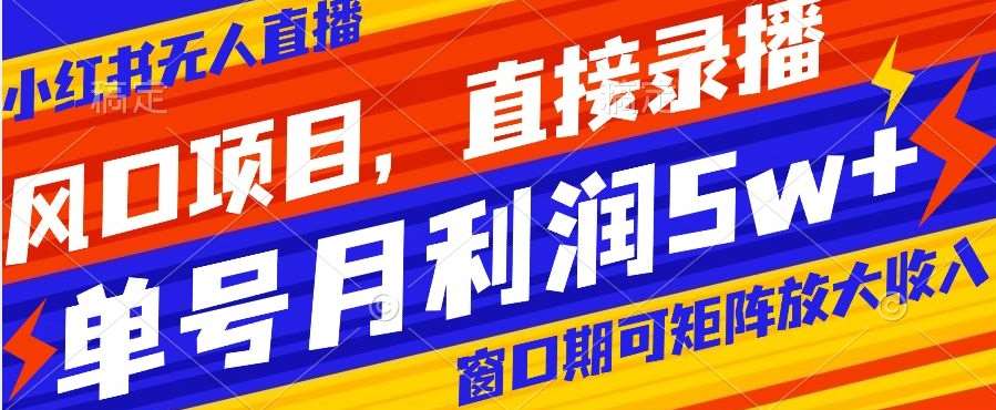 风口项目，小红书无人直播带货，直接录播，可矩阵，月入5w+【揭秘】-62创业网