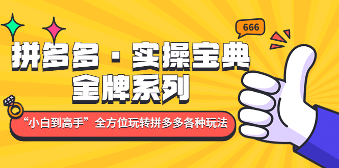 拼多多·实操宝典：金牌系列“小白到高手”带你全方位玩转拼多多各种玩法-62网赚