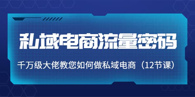 私域电商流量密码：千万级大佬教您如何做私域电商（12节课）-62网赚