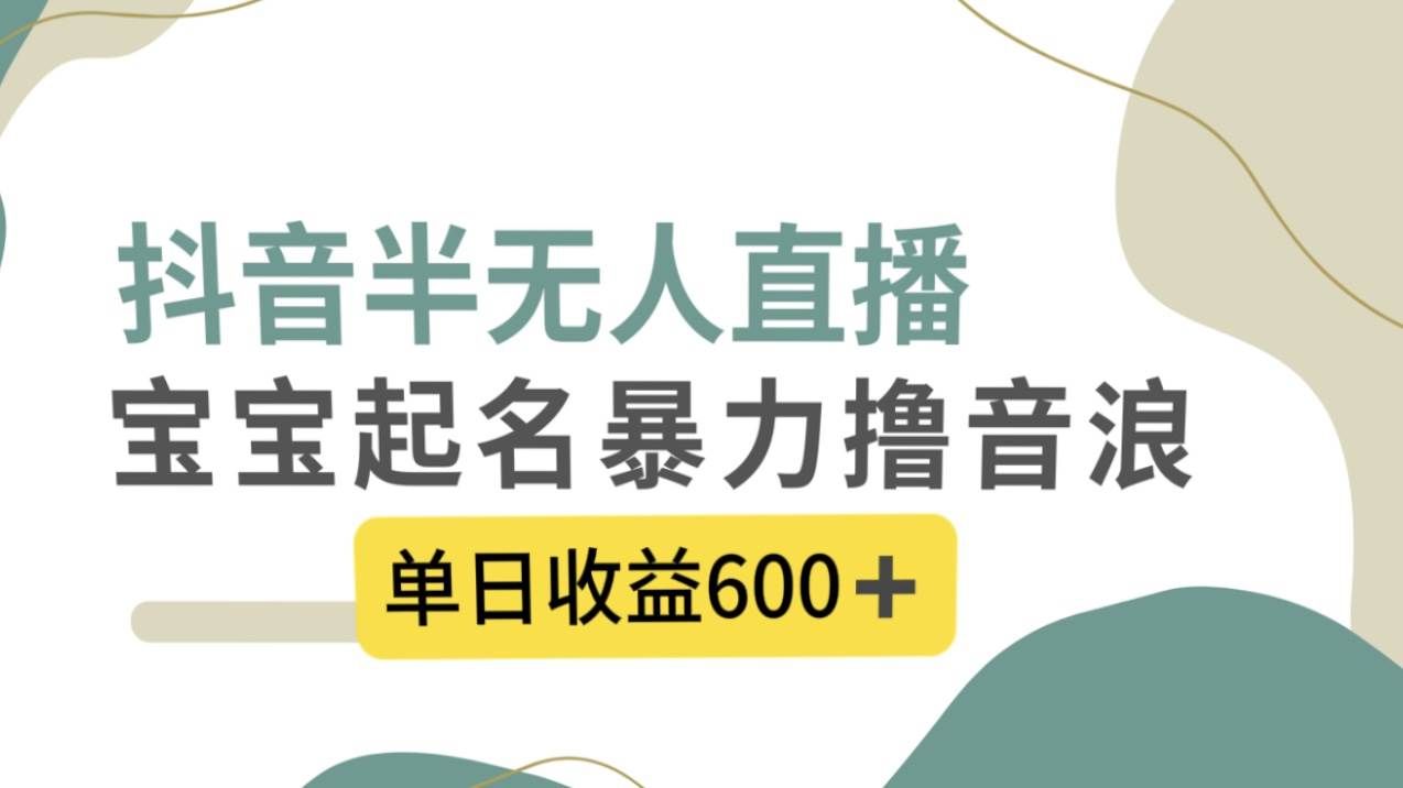 （8192期）抖音半无人直播，宝宝起名，暴力撸音浪，单日收益600+-62创业网