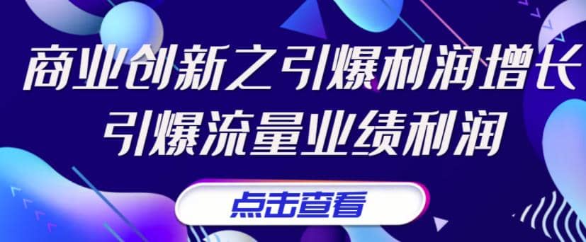 《商业创新之引爆利润增长》引爆流量业绩利润-62网赚